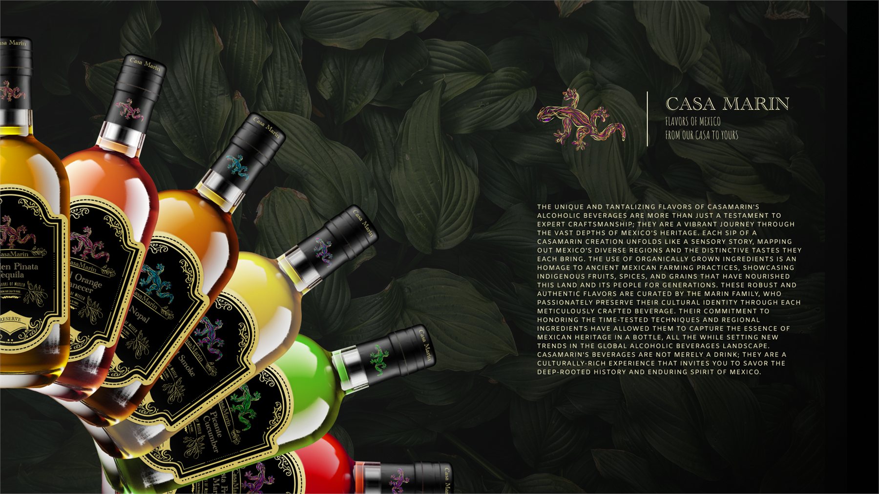 Casa Marin identity overview