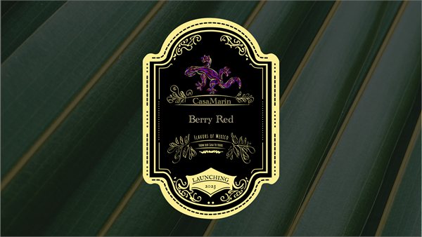 Casa Marin brand identity