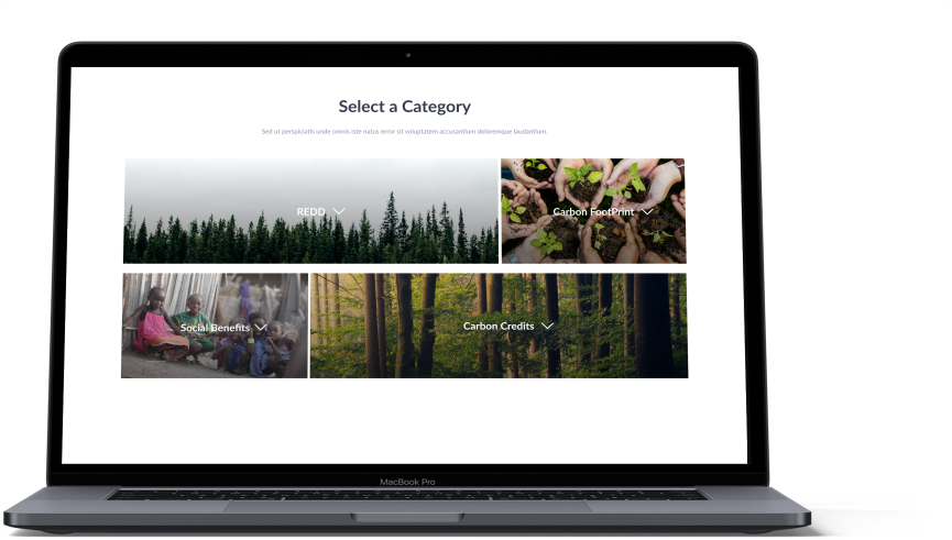 Site shown on a tilted laptop screen